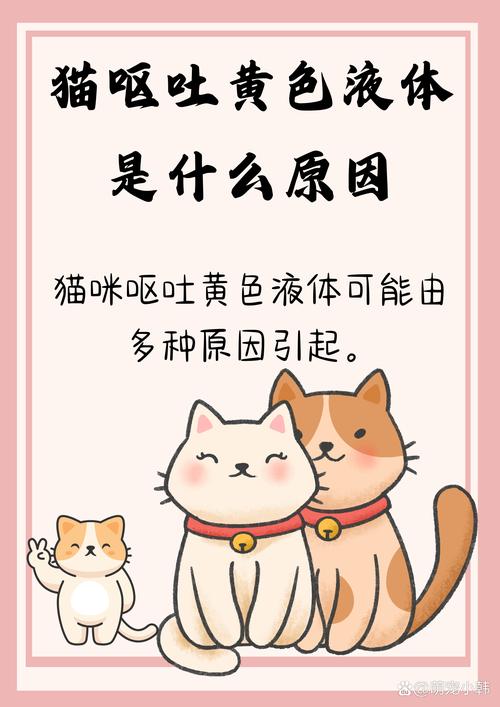 解析“猫咪老吐怎么回事”你不知道的事-第1张图片 解析“猫咪老吐怎么回事”你不知道的事-第1张图片