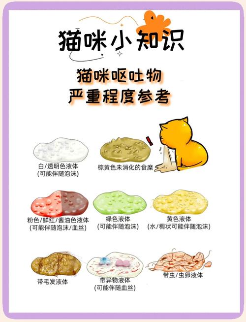 解析“猫咪老吐怎么回事”你不知道的事-第2张图片 解析“猫咪老吐怎么回事”你不知道的事-第2张图片