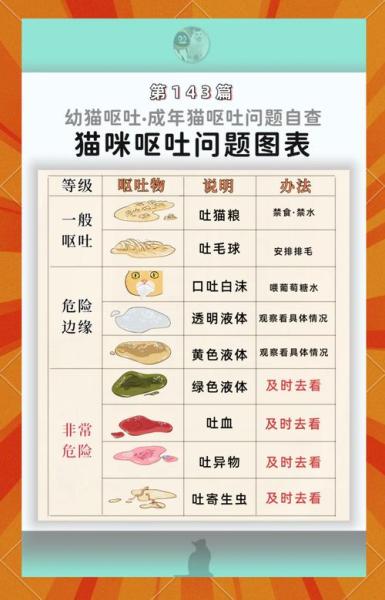 解析“猫咪老吐怎么回事”你不知道的事-第3张图片 解析“猫咪老吐怎么回事”你不知道的事-第3张图片