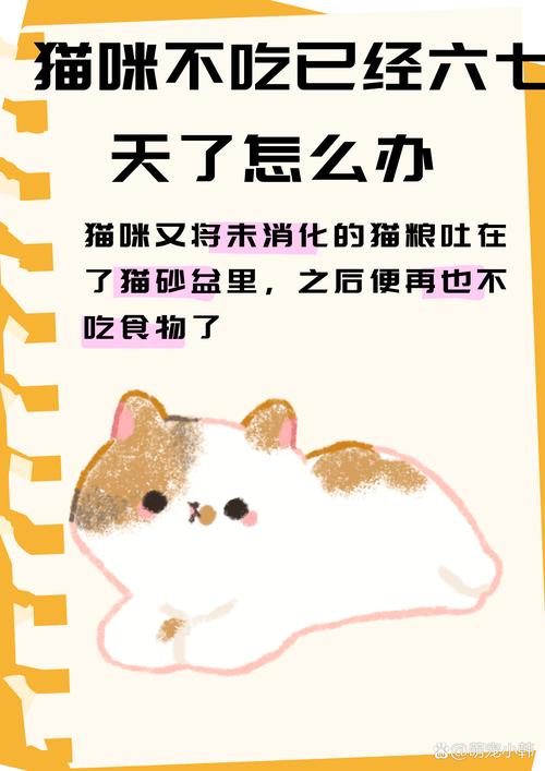 解析“猫咪老吐怎么回事”你不知道的事-第5张图片 解析“猫咪老吐怎么回事”你不知道的事-第5张图片