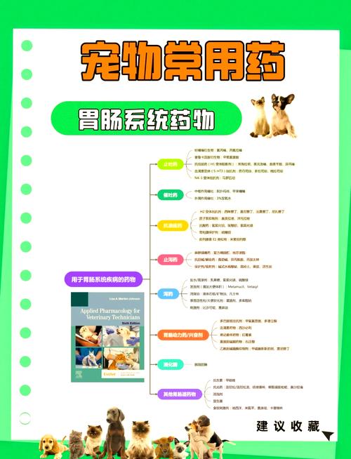 解析“猫咪老吐怎么回事”你不知道的事-第6张图片 解析“猫咪老吐怎么回事”你不知道的事-第6张图片