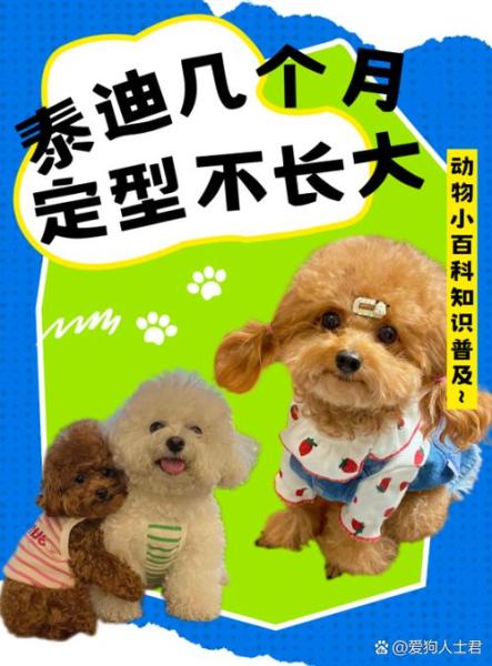作为消费者“狗多大就定型不长了”你不能不知道-第5张图片 作为消费者“狗多大就定型不长了”你不能不知道-第5张图片