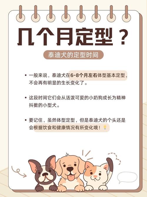作为消费者“狗多大就定型不长了”你不能不知道-第10张图片 作为消费者“狗多大就定型不长了”你不能不知道-第10张图片
