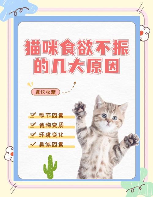 解析“猫不吃饭”你不知道的事-第5张图片 解析“猫不吃饭”你不知道的事-第5张图片
