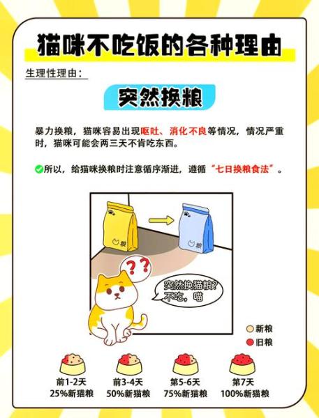 解析“猫不吃饭”你不知道的事-第7张图片 解析“猫不吃饭”你不知道的事-第7张图片