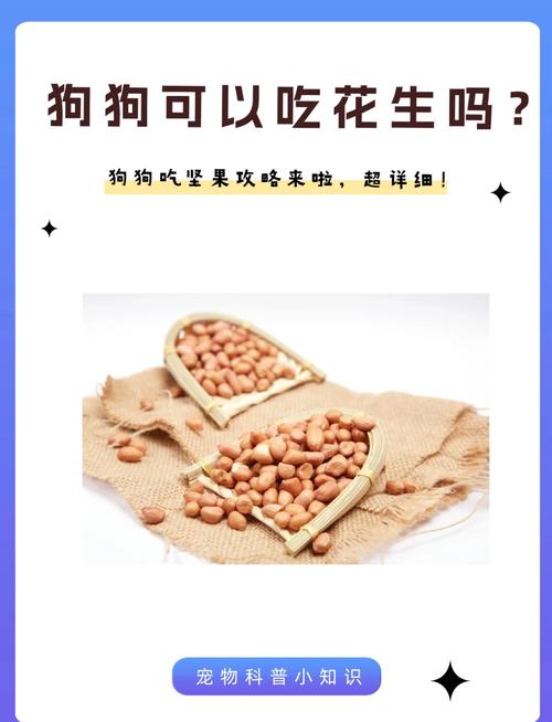 狗狗能吃腰果吗,狗狗能吃腰果吗博美可以吃吗-第3张图片 狗狗能吃腰果吗,狗狗能吃腰果吗博美可以吃吗-第3张图片