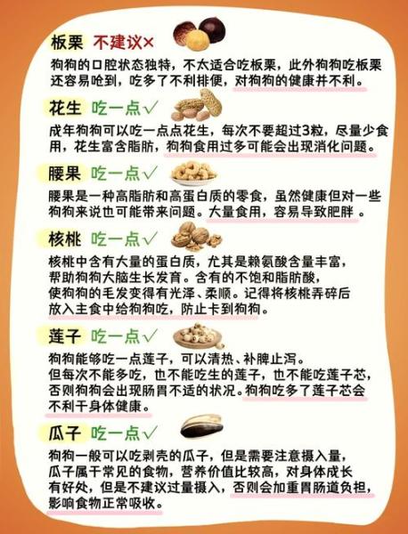 狗狗能吃腰果吗,狗狗能吃腰果吗博美可以吃吗-第5张图片 狗狗能吃腰果吗,狗狗能吃腰果吗博美可以吃吗-第5张图片