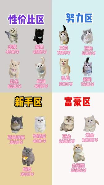 作为消费者“曼基”你不能不知道-第1张图片 作为消费者“曼基”你不能不知道-第1张图片