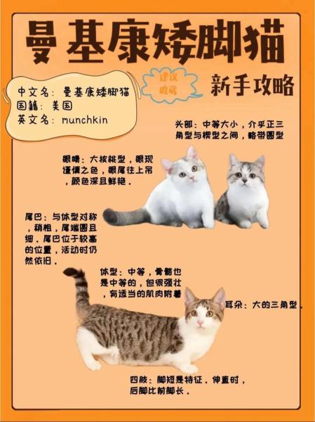 作为消费者“曼基”你不能不知道-第6张图片 作为消费者“曼基”你不能不知道-第6张图片