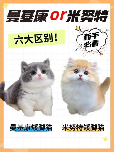 作为消费者“曼基”你不能不知道-第7张图片 作为消费者“曼基”你不能不知道-第7张图片