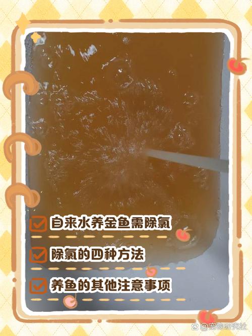 纯净水可以养鱼吗/过滤纯净水可以养鱼吗-第5张图片 纯净水可以养鱼吗/过滤纯净水可以养鱼吗-第5张图片