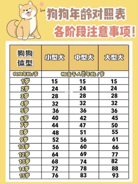 狗的年龄怎么算-狗的年龄怎么算一岁相当于几个月-第2张图片 狗的年龄怎么算-狗的年龄怎么算一岁相当于几个月-第2张图片