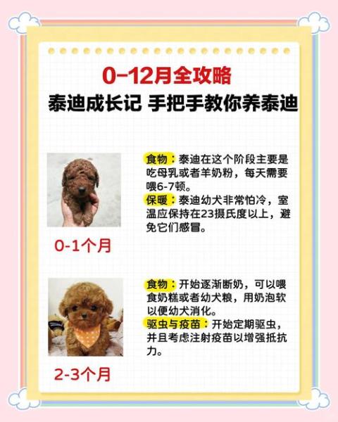 狗的年龄怎么算-狗的年龄怎么算一岁相当于几个月-第3张图片 狗的年龄怎么算-狗的年龄怎么算一岁相当于几个月-第3张图片