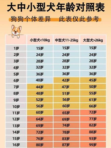 狗的年龄怎么算-狗的年龄怎么算一岁相当于几个月-第6张图片 狗的年龄怎么算-狗的年龄怎么算一岁相当于几个月-第6张图片