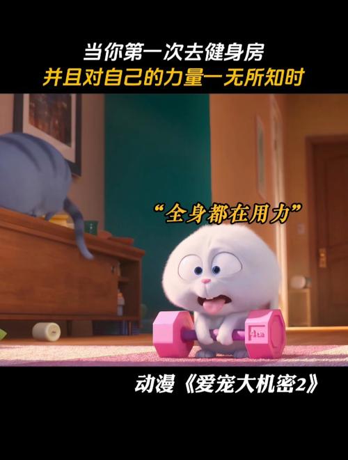 杰克罗素梗的通病,杰克罗素梗贵吗-第2张图片 杰克罗素梗的通病,杰克罗素梗贵吗-第2张图片