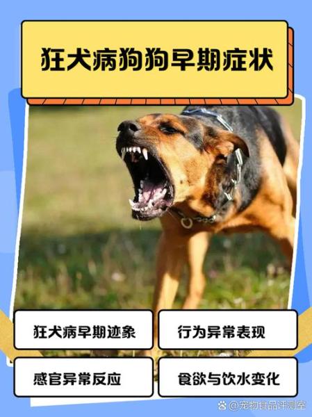 狂犬病的早期症状全身酸疼/狂犬病全身痛