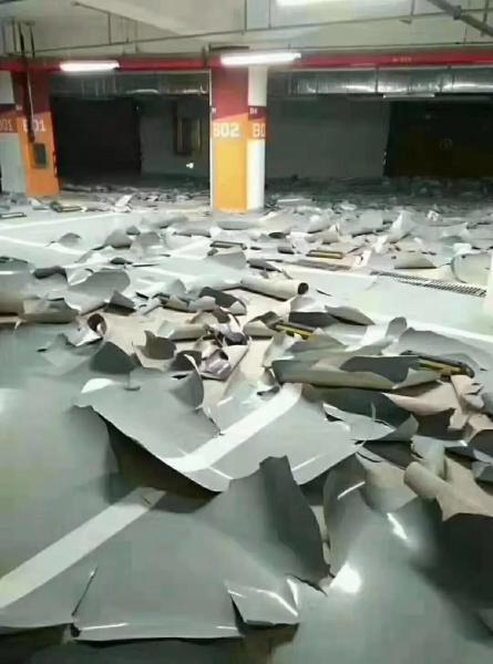 解析“狗有皮肤病成峰窝状”你不知道的事-第2张图片 解析“狗有皮肤病成峰窝状”你不知道的事-第2张图片