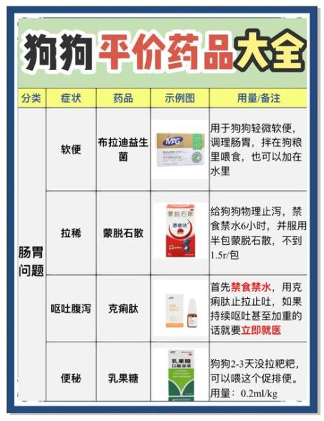 解析“狗瘟病用什么药最管用”你不知道的事-第3张图片 解析“狗瘟病用什么药最管用”你不知道的事-第3张图片