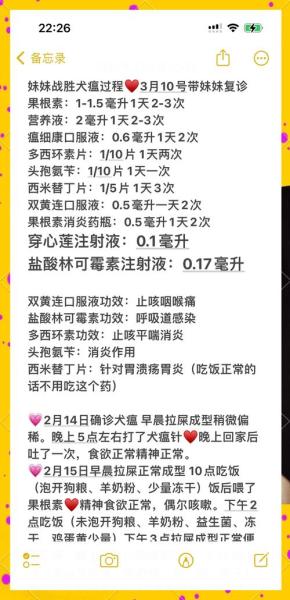 解析“狗瘟病用什么药最管用”你不知道的事-第6张图片 解析“狗瘟病用什么药最管用”你不知道的事-第6张图片