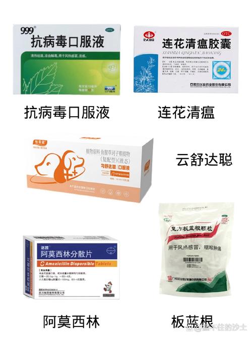 解析“狗瘟病用什么药最管用”你不知道的事-第7张图片 解析“狗瘟病用什么药最管用”你不知道的事-第7张图片
