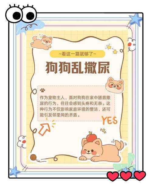 狗狗膀胱按压排尿法/狗狗膀胱按压排尿法多久一次-第4张图片 狗狗膀胱按压排尿法/狗狗膀胱按压排尿法多久一次-第4张图片