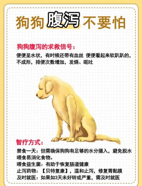 刚出生8天的小狗拉稀怎么办，刚出生几天的幼犬拉稀