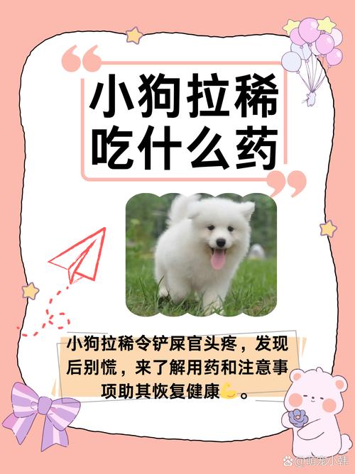 刚出生8天的小狗拉稀怎么办,刚出生几天的幼犬拉稀-第3张图片 刚出生8天的小狗拉稀怎么办,刚出生几天的幼犬拉稀-第3张图片