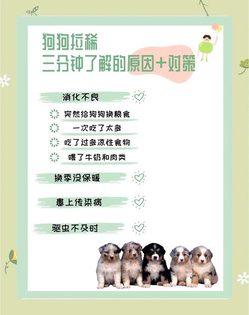 刚出生8天的小狗拉稀怎么办,刚出生几天的幼犬拉稀-第5张图片 刚出生8天的小狗拉稀怎么办,刚出生几天的幼犬拉稀-第5张图片