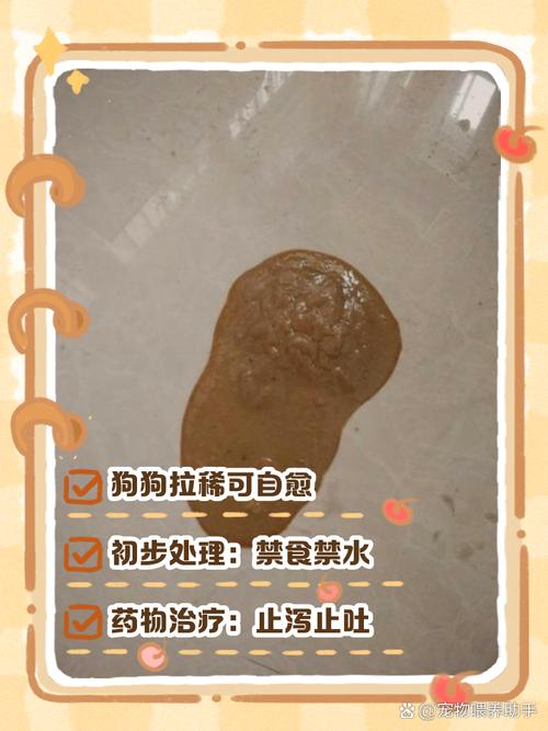 刚出生8天的小狗拉稀怎么办,刚出生几天的幼犬拉稀-第6张图片 刚出生8天的小狗拉稀怎么办,刚出生几天的幼犬拉稀-第6张图片
