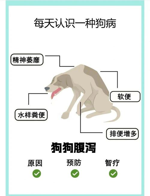 刚出生8天的小狗拉稀怎么办,刚出生几天的幼犬拉稀-第10张图片 刚出生8天的小狗拉稀怎么办,刚出生几天的幼犬拉稀-第10张图片