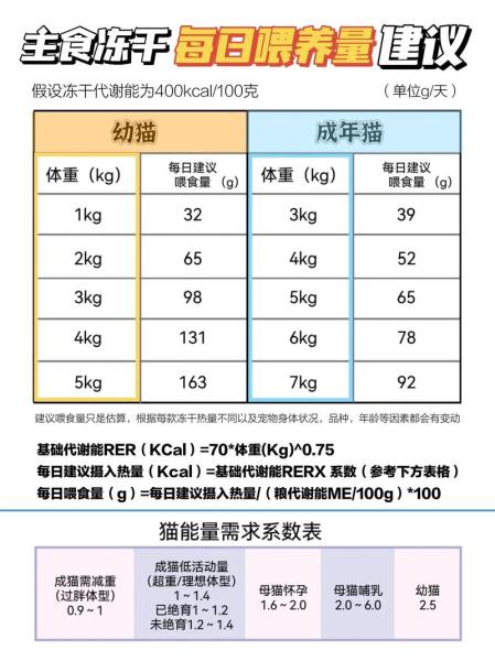 作为消费者“猫咪多大可以吃零食”你不能不知道