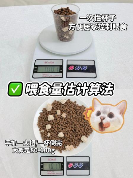 作为消费者“猫咪多大可以吃零食”你不能不知道-第5张图片 作为消费者“猫咪多大可以吃零食”你不能不知道-第5张图片