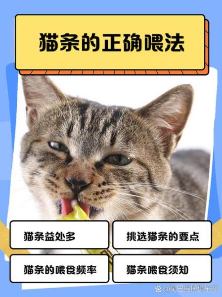 作为消费者“猫咪多大可以吃零食”你不能不知道-第7张图片 作为消费者“猫咪多大可以吃零食”你不能不知道-第7张图片