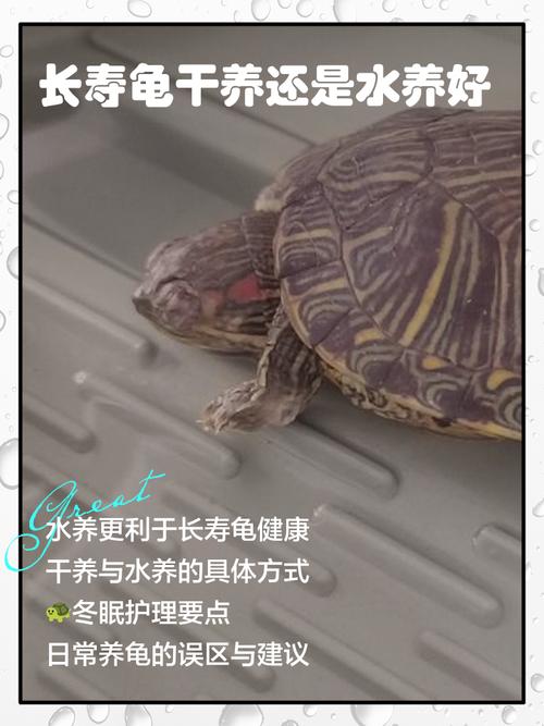 作为消费者“长寿龟”你不能不知道-第3张图片 作为消费者“长寿龟”你不能不知道-第3张图片