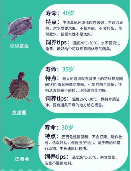 作为消费者“长寿龟”你不能不知道-第5张图片 作为消费者“长寿龟”你不能不知道-第5张图片