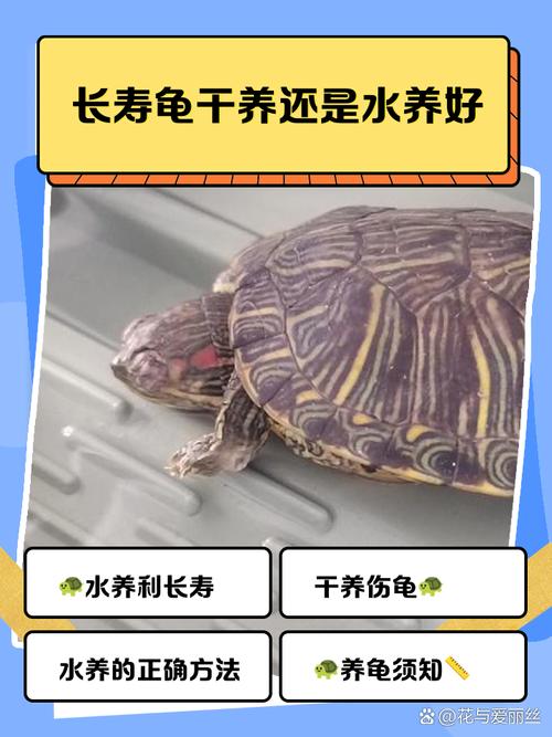 作为消费者“长寿龟”你不能不知道-第7张图片 作为消费者“长寿龟”你不能不知道-第7张图片