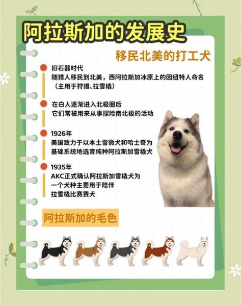 阿拉斯加犬十种脸谱，阿拉斯加脸谱大全