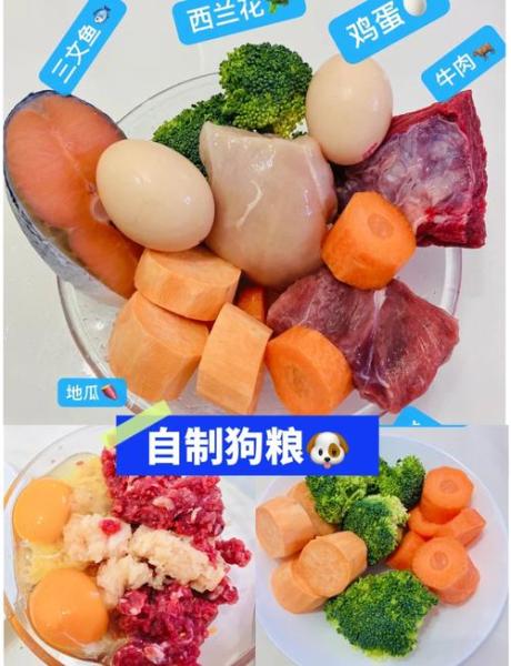 自制狗粮-自制狗粮怎么做