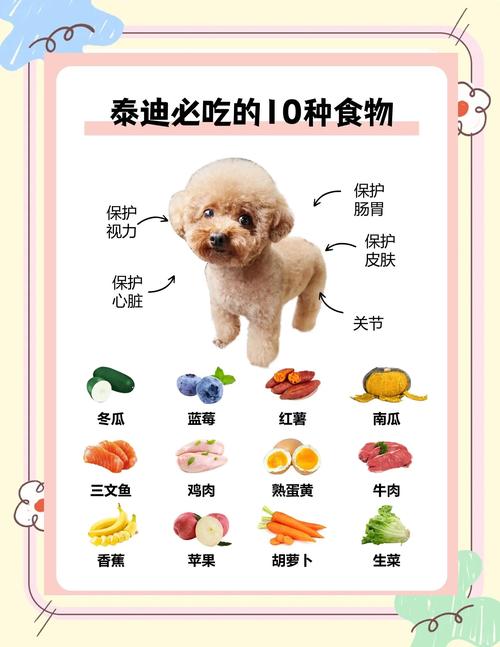 作为消费者“贵宾犬可以吃哪些食物”你不能不知道