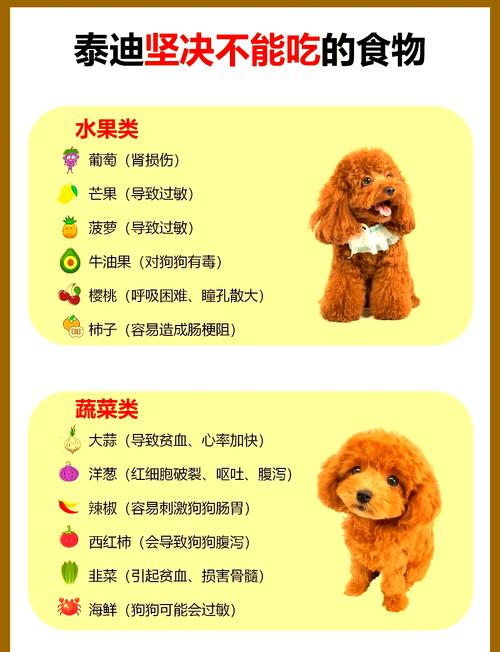 作为消费者“贵宾犬可以吃哪些食物”你不能不知道-第6张图片 作为消费者“贵宾犬可以吃哪些食物”你不能不知道-第6张图片