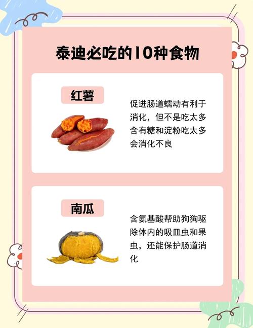 作为消费者“贵宾犬可以吃哪些食物”你不能不知道-第9张图片 作为消费者“贵宾犬可以吃哪些食物”你不能不知道-第9张图片