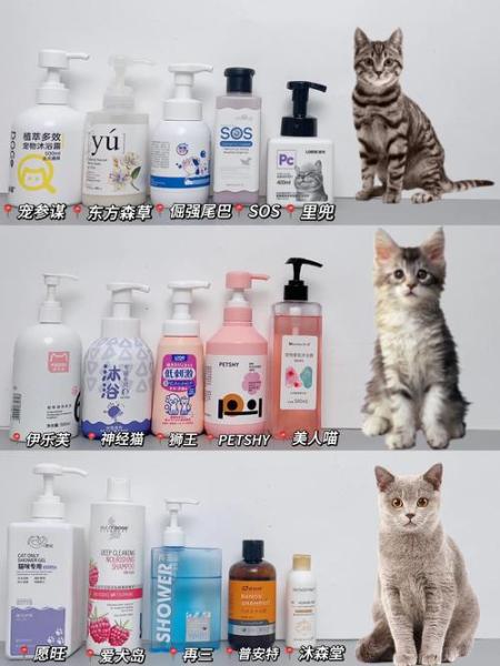 猫咪沐浴露推荐/猫咪沐浴露哪种好-第7张图片 猫咪沐浴露推荐/猫咪沐浴露哪种好-第7张图片