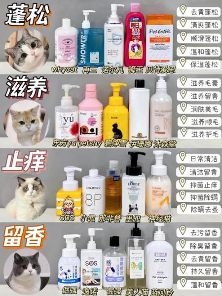 猫咪沐浴露推荐/猫咪沐浴露哪种好-第8张图片 猫咪沐浴露推荐/猫咪沐浴露哪种好-第8张图片