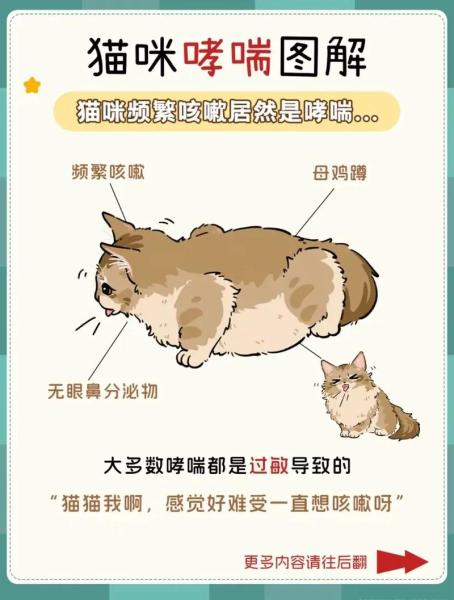解析“猫咪咳嗽怎么办”你不知道的事-第3张图片 解析“猫咪咳嗽怎么办”你不知道的事-第3张图片