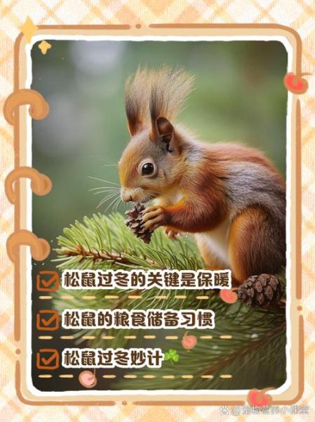 松鼠冬眠,松鼠冬眠吗,它又是怎样度过冬天的-第5张图片 松鼠冬眠,松鼠冬眠吗,它又是怎样度过冬天的-第5张图片