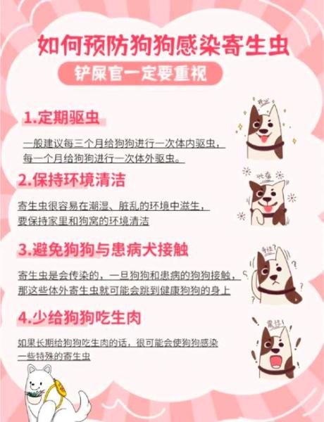 怎么给狗狗体外驱虫,狗狗怎样进行体外驱虫-第1张图片 怎么给狗狗体外驱虫,狗狗怎样进行体外驱虫-第1张图片