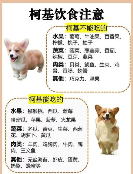 狗能吃水果吗,狗能吃水果吗你们家的狗不能吃什么-第1张图片 狗能吃水果吗,狗能吃水果吗你们家的狗不能吃什么-第1张图片