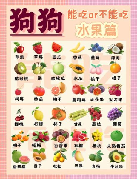 狗能吃水果吗,狗能吃水果吗你们家的狗不能吃什么-第4张图片 狗能吃水果吗,狗能吃水果吗你们家的狗不能吃什么-第4张图片