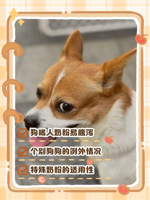 狗狗可以喝人的奶粉吗,狗狗能不能喝人的奶粉-第7张图片 狗狗可以喝人的奶粉吗,狗狗能不能喝人的奶粉-第7张图片