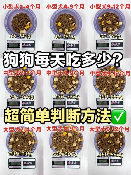 作为消费者“50天的柯基犬什么样子”你不能不知道-第4张图片 作为消费者“50天的柯基犬什么样子”你不能不知道-第4张图片